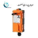 ریموت کنترل TELECRANE F21-4S