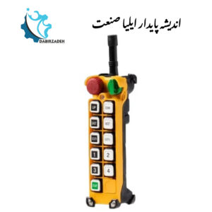 ریموت کنترل TELECRANE F24-10D