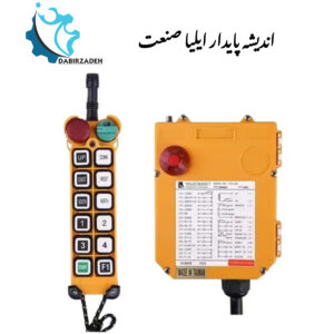 ریموت کنترل TELECRANE F24-12D