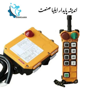 ریموت کنترل TELECRANE F24-8D