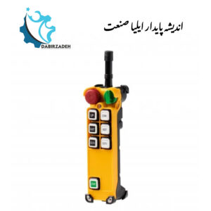 ریموت کنترل TELECRANE F24-6D
