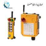 ریموت کنترل TELECRANE F24-8S